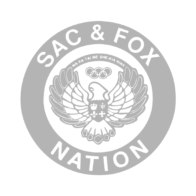 SFN Original Logo 1-01